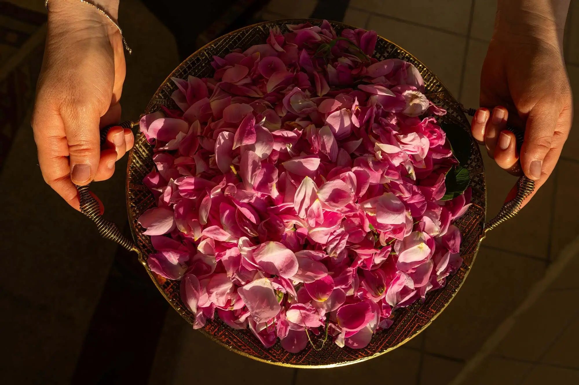 Soins à la Rose