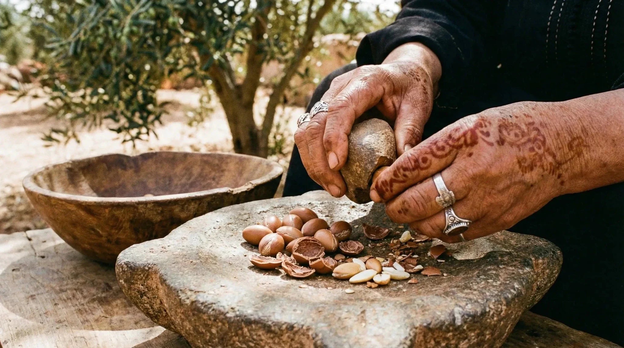 Mains d'une femme berbère aux tatouages de henné concassant des noix d'argan à la pierre, devant un arganier