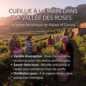 Eau de Rose Bio du Maroc – Rose de Damas Certifiée Ecocert
