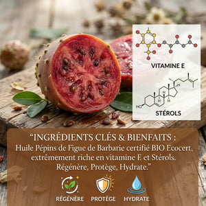 Huile de Pépins de Figue de Barbarie Bio & Ecocert : L'Anti-Âge Suprême