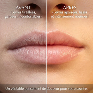 Avant après baume lèvres miel réparation lèvres gercées abîmées 24h