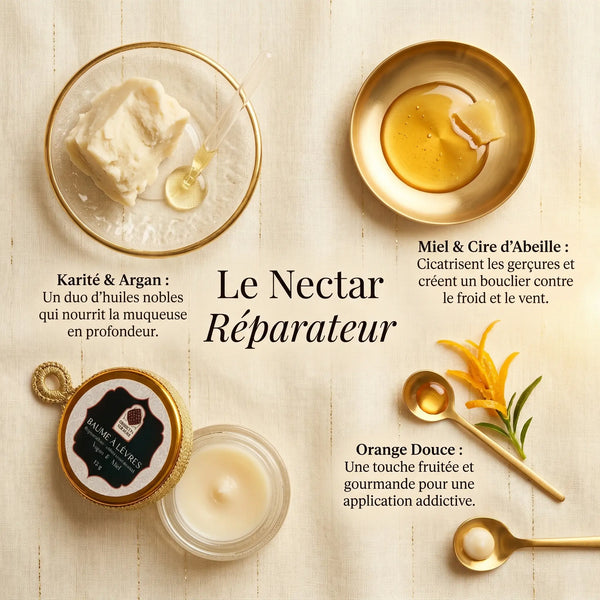 Ingrédients baume lèvres miel beurre karité argan cire abeille cicatrisant