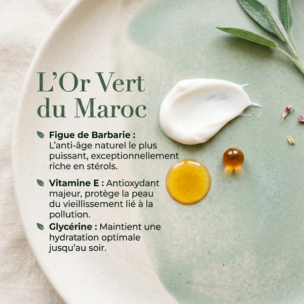 Ingrédients crème de jour figue de barbarie karité vitamine E glycérine