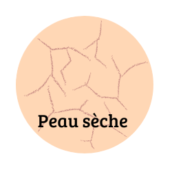 Peau Seche