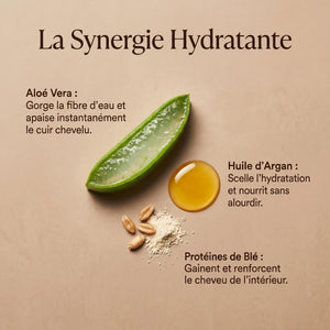 Ingrédients shampoing argan aloe vera protéine de blé hydratant naturel