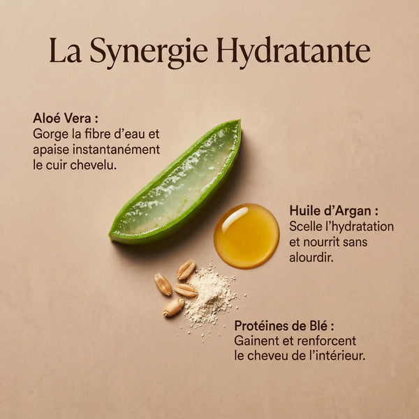 Ingrédients shampoing argan aloe vera protéine de blé hydratant naturel