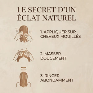 Shampoing Naturel Argan & Jasmin – Bain Nourrissant Sans Sulfates